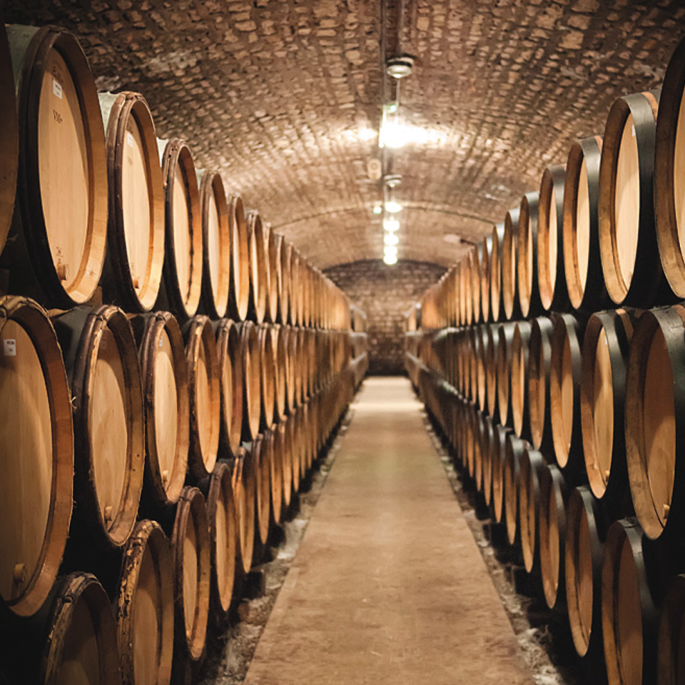Toscana e viticoltura: qualità rinascimentale
